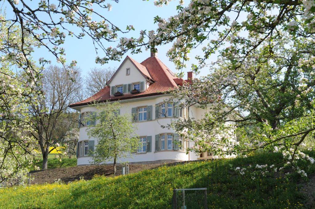 שטולינגן Gasthaus Schwanen & Villa Pfarrhus חדר תמונה